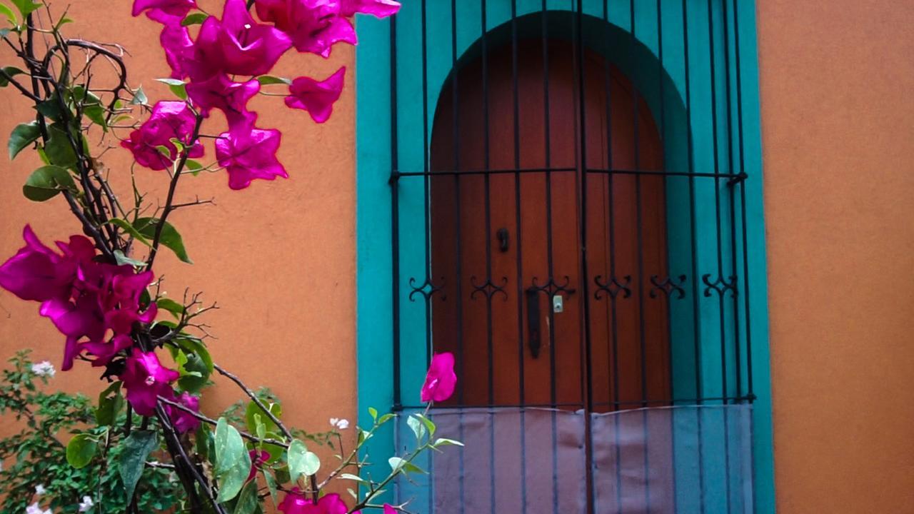 Casa Frida B&B Oaxaca Екстериор снимка