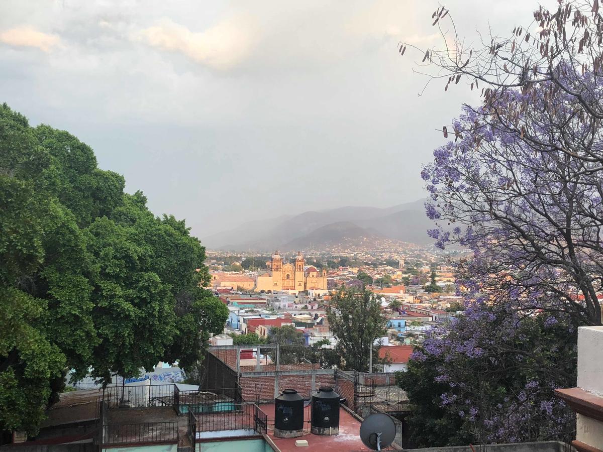 Casa Frida B&B Oaxaca Екстериор снимка